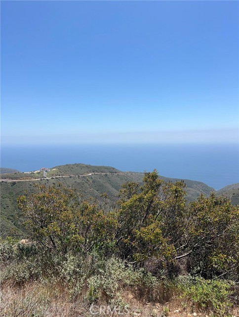 Detail Gallery Image 18 of 32 For 9533 Deer Creek Rd, Malibu,  CA 90265 - – Beds | – Baths