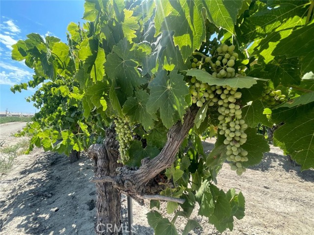 Detail Gallery Image 2 of 13 For 1 S Plumas Ave, Kerman,  CA 93630 - – Beds | – Baths