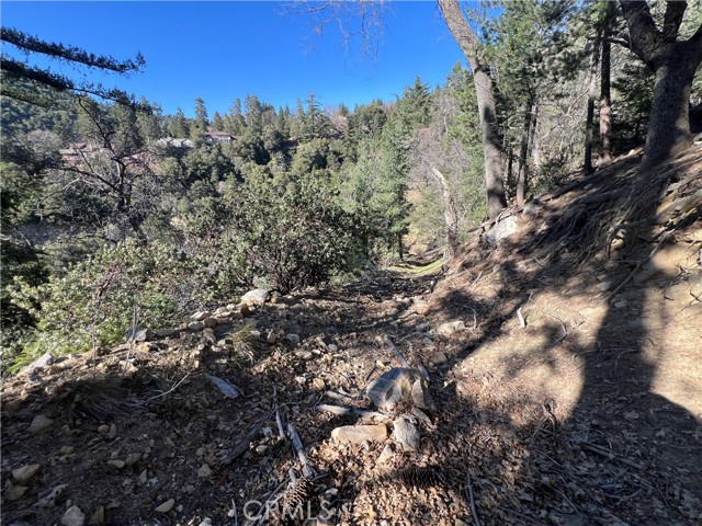 Detail Gallery Image 16 of 18 For 0 Ca-38, Angelus Oaks,  CA 92305 - – Beds | – Baths