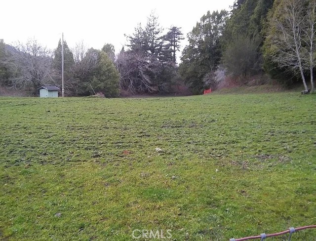 203 Pine Lane, Fortuna CA: https://media.crmls.org/medias/651cd0a3-cb59-4013-8c79-a529248c0ab3.jpg