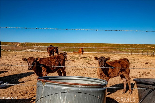 Detail Gallery Image 50 of 69 For 45408 160th, Lancaster,  CA 93536 - 1 Beds | 1 Baths