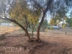 Detail Gallery Image 4 of 5 For 33646 State Highway 74, Hemet,  CA 92545 - – Beds | – Baths