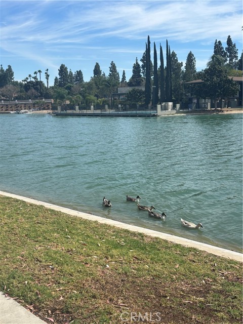 Detail Gallery Image 18 of 31 For 1408 via Del Rio, Corona,  CA 92882 - 3 Beds | 1/1 Baths