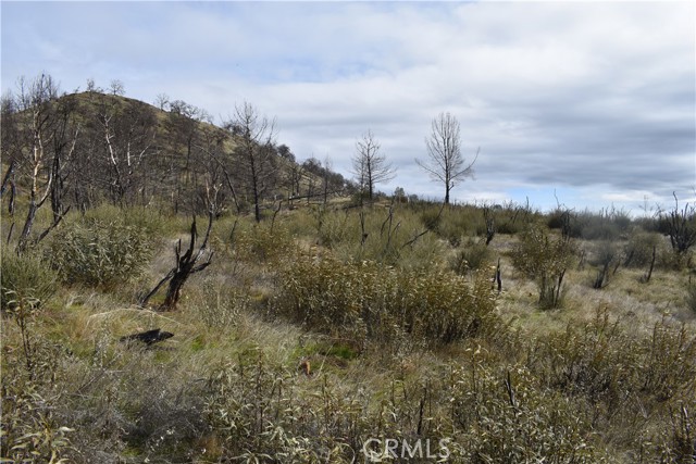 16559 Doe Trail, Clearlake Oaks, CA, 95423 16559 Doe Trail, Clearlake Oaks, CA, 95423