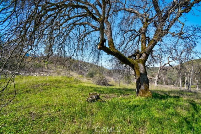 Detail Gallery Image 30 of 32 For 300 Stoney Oaks Bld, Oroville,  CA 95966 - 3 Beds | 2/1 Baths