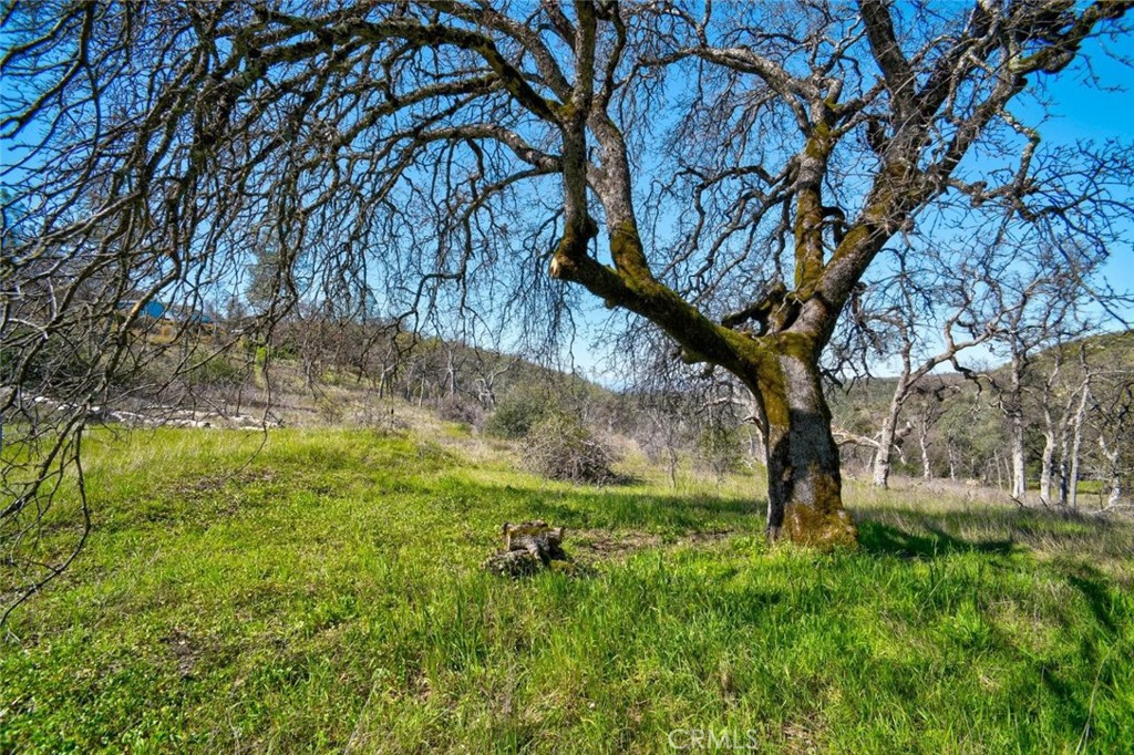 https://media.crmls.org/medias/65353708-0f18-4029-9364-6818b9f1f974.jpg?preset=X-Large