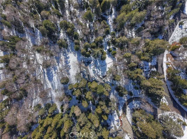 Detail Gallery Image 43 of 44 For 29223 Pigeon Hawk, Lake Arrowhead,  CA 92352 - 7 Beds | 6/1 Baths