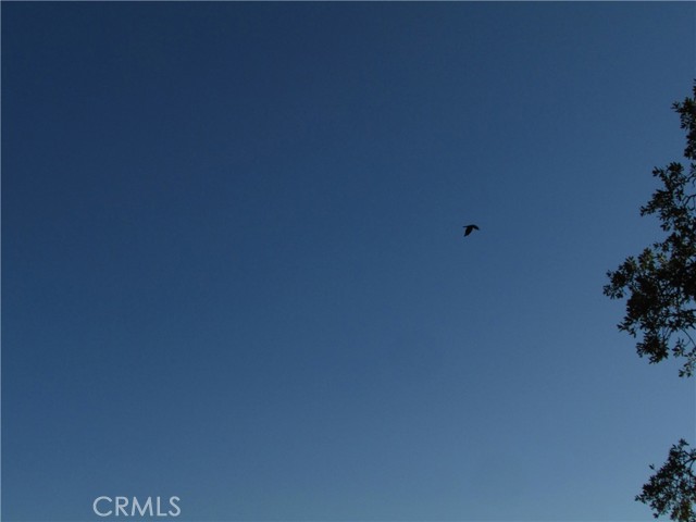 Detail Gallery Image 39 of 54 For 2 Ac Old Oaks Ct, North Fork,  CA 93643 - – Beds | – Baths