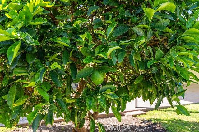 Image 27 of 39 For 8792 Grindlay