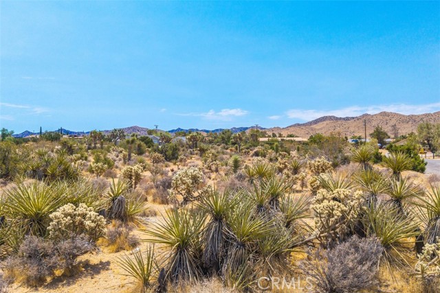 Detail Gallery Image 2 of 17 For 1234 Ivanhoe Dr, Yucca Valley,  CA 92284 - – Beds | – Baths