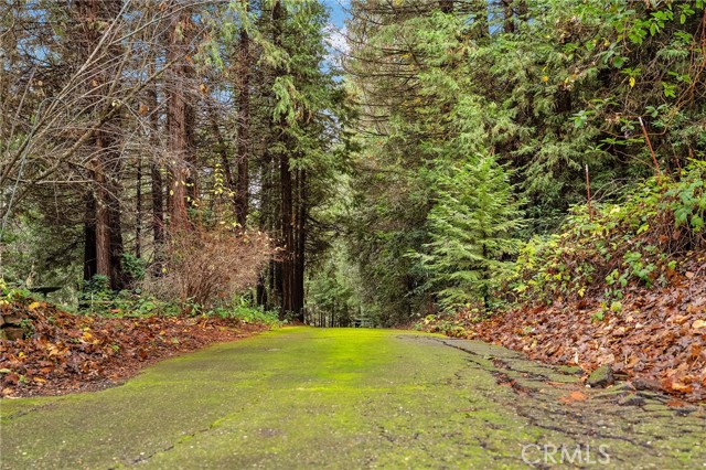 Detail Gallery Image 66 of 68 For 18774 Challenge Cut off Rd, Forbestown,  CA 95941 - 5 Beds | 3 Baths