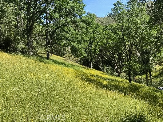 Detail Gallery Image 4 of 43 For 4743 Buffalo Gulch Rd, Midpines,  CA 95345 - – Beds | – Baths