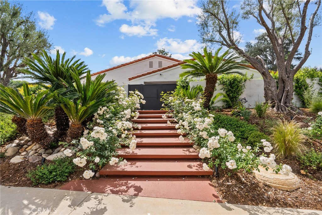 4455 Park Alisal