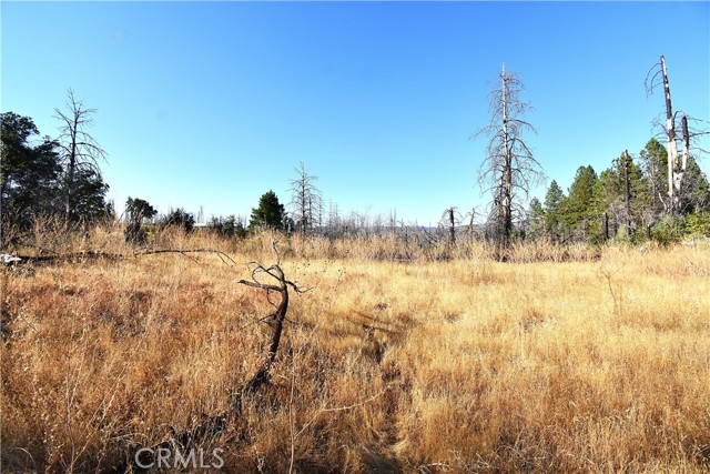 Detail Gallery Image 11 of 19 For 0 Centurion Way, Berry Creek,  CA 95916 - – Beds | – Baths