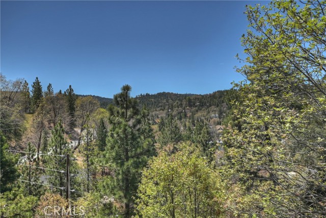 Detail Gallery Image 58 of 59 For 27757 North Bay Rd, Lake Arrowhead,  CA 92352 - 4 Beds | 3 Baths