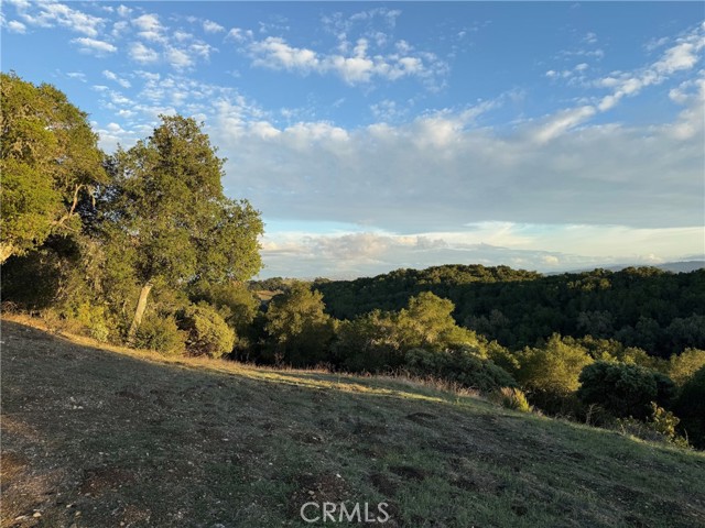 Detail Gallery Image 50 of 52 For 1545 Willow Creek, Paso Robles,  CA 93446 - 2 Beds | 4 Baths