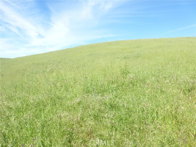 Detail Gallery Image 9 of 42 For 0 Douglas Rd. (Lot 42), San Miguel,  CA 93451 - – Beds | – Baths