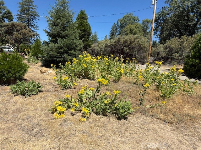 Detail Gallery Image 57 of 67 For 39468 Summit Dr, Oakhurst,  CA 93644 - 4 Beds | 3 Baths