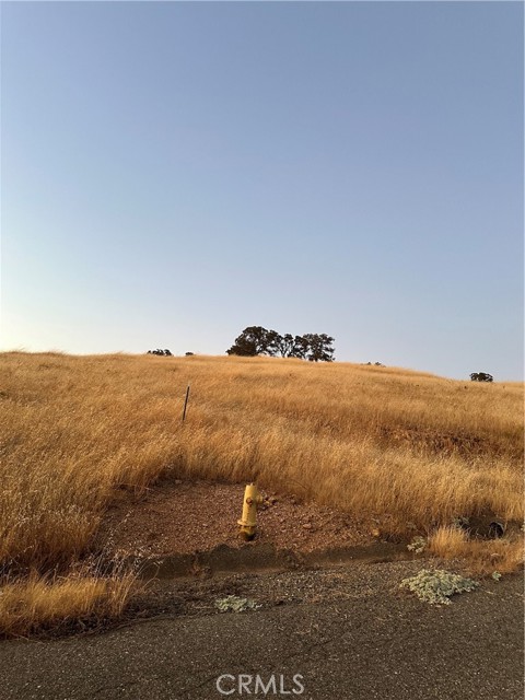 Detail Gallery Image 6 of 9 For 9775 Paraiso Bld, La Grange,  CA 95329 - – Beds | – Baths