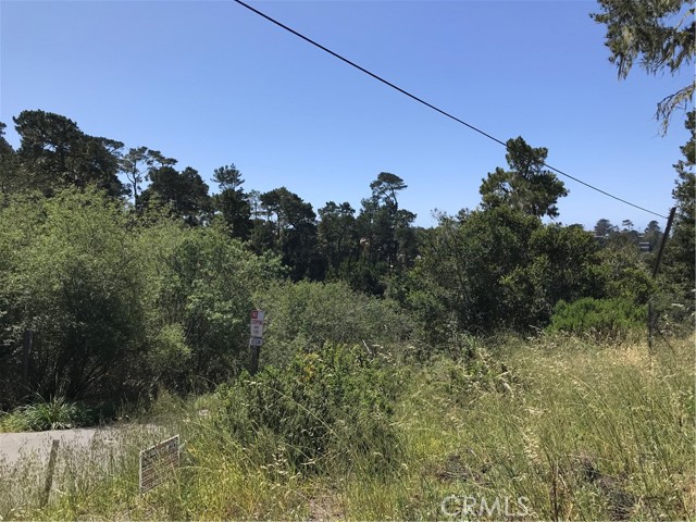 0 Hillcrest Drive, Cambria, California 93428, ,Land,For Sale,0 Hillcrest Drive,CRSC22073549