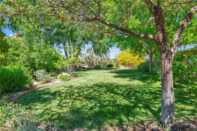 4525 Buena Vista Drive, Paso Robles CA: https://media.crmls.org/medias/658232dd-7e32-42f9-8d16-cf0ba32ea95b.jpg