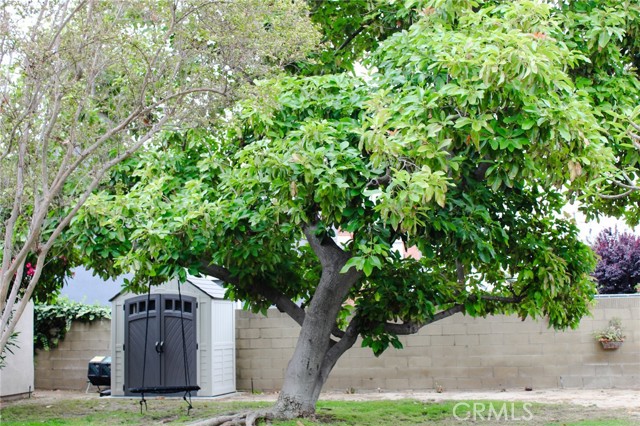 105 S Kingsley Street, Anaheim CA: https://media.crmls.org/medias/6583ff72-bb52-4582-8eb4-0c6c624ada27.jpg