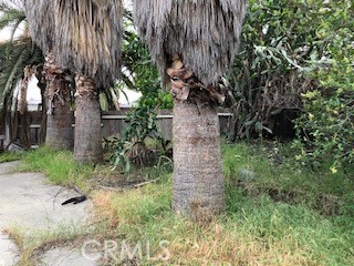 8606 Edwin Street, Rancho Cucamonga CA: https://media.crmls.org/medias/6584bdc4-3bf2-4167-8306-d792a6535f9d.jpg