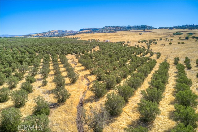 16 Rocky Drive, Oroville CA: https://media.crmls.org/medias/6584c7f4-5a6d-4c67-8df1-1c1aaa1e5c83.jpg