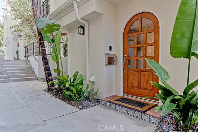 shared walk way, mature Palm trees at Entrance along North side