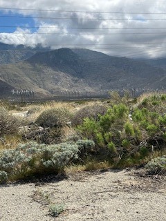 13308 Chaparral Road, Whitewater CA: https://media.crmls.org/medias/658d8ddf-785f-4ca9-9f59-97f3a6d81c3c.jpg