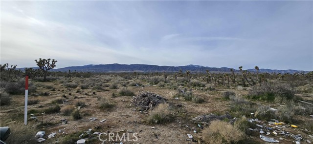 Image 7 of 17 For 26000 Avenue W