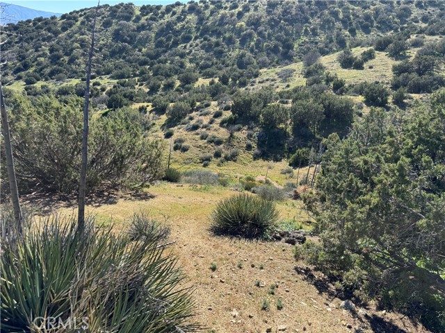 Detail Gallery Image 6 of 8 For 0 0, Acton,  CA 93510 - – Beds | – Baths