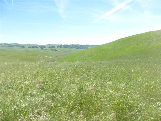 Detail Gallery Image 20 of 44 For 0 Douglas Rd. (Lot 34), San Miguel,  CA 93451 - – Beds | – Baths