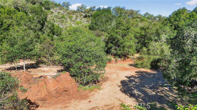 0 Avenida Perla Bonita, Murrieta CA: https://media.crmls.org/medias/659b8028-0ce0-4669-9259-fc87b1bbe48b.jpg