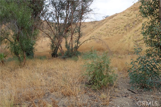 3448 N Beverly Drive, San Bernardino CA: https://media.crmls.org/medias/659d81aa-f6aa-4843-bc8f-6bf30afb16d9.jpg