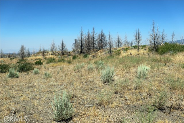 Detail Gallery Image 5 of 15 For 0 Juniper Valley Dr, Weed,  CA 96094 - – Beds | – Baths