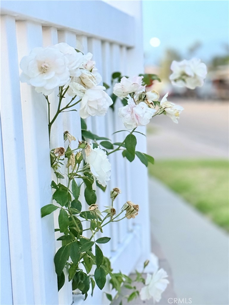 https://media.crmls.org/medias/659ec3a5-19b1-49a8-8140-27ed5c758840.jpg?preset=X-Large