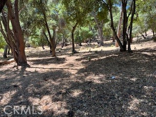 7872 Soda Bay Road, Kelseyville CA: https://media.crmls.org/medias/65a586c7-22cf-4570-908b-8b855324b6f4.jpg