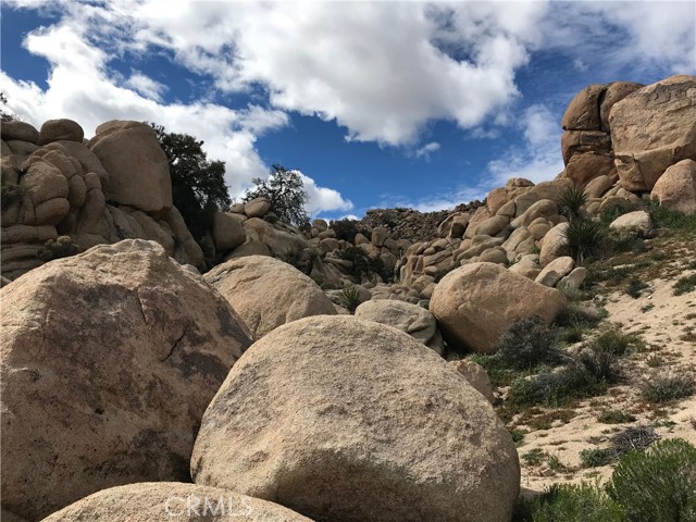 56564 Nelson Avenue, Yucca Valley CA: https://media.crmls.org/medias/65aab80e-4261-4a4a-ba35-84b4866b912e.jpg