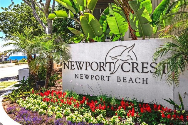 Front Image Thumbnail for CROC26043480