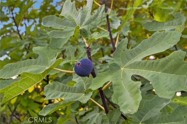 Detail Gallery Image 36 of 46 For 19453 Mountain Meadow North, Hidden Valley Lake,  CA 95467 - 3 Beds | 2 Baths
