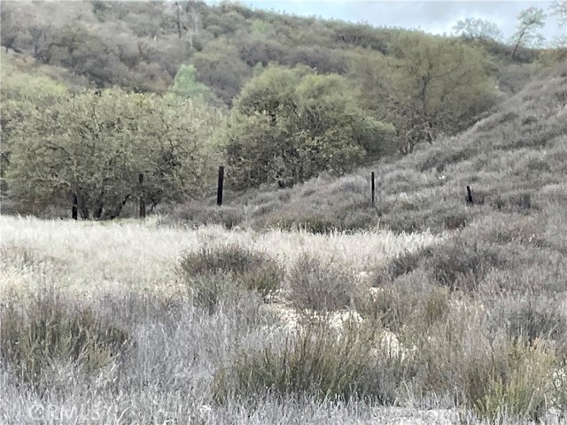 Detail Gallery Image 12 of 20 For 104 Paulsen Rd, Lockwood,  CA 93932 - – Beds | – Baths