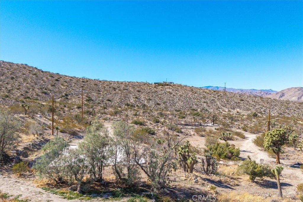 MLS #JT25259485 image #10