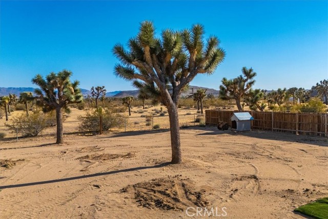 Detail Gallery Image 27 of 43 For 59099 Henderson Dr, Yucca Valley,  CA 92284 - 3 Beds | 2 Baths