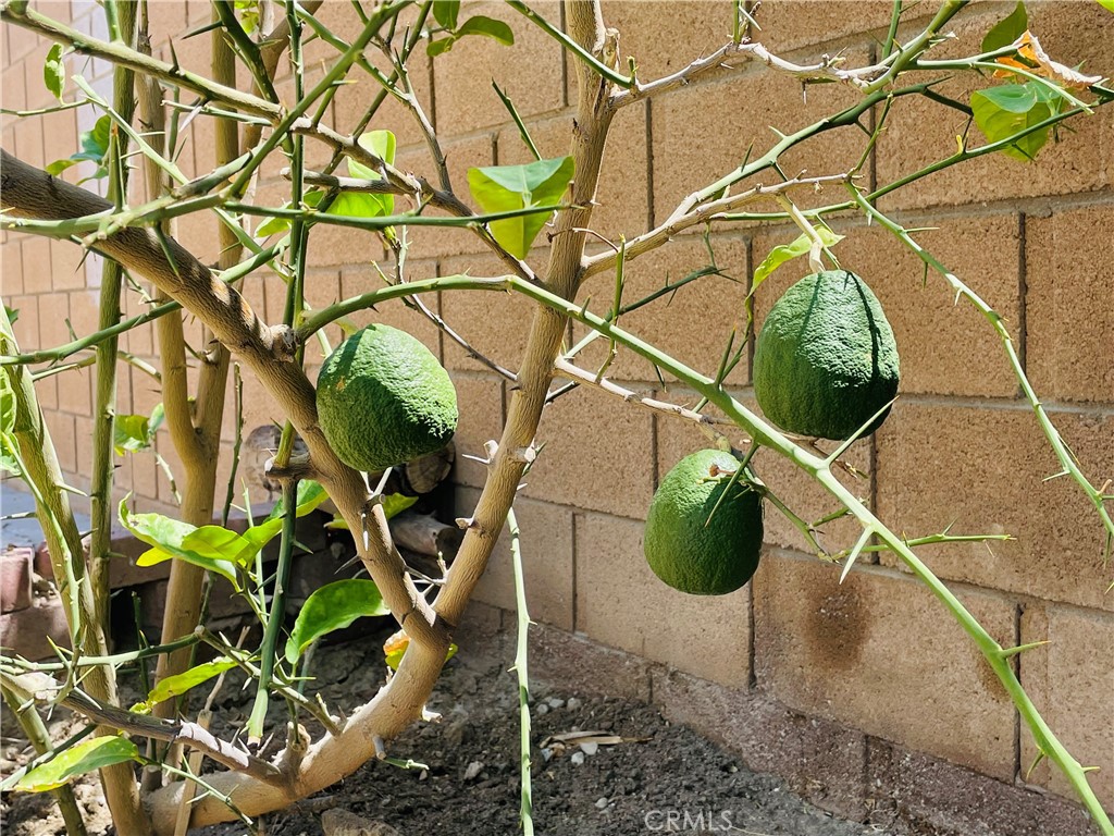 https://media.crmls.org/medias/65cfc33b-f1cb-4473-80ef-15280fb94fd7.jpg?preset=X-Large