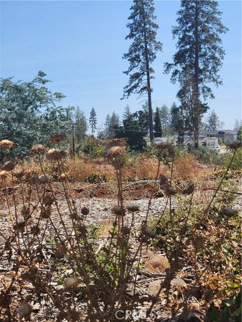 Detail Gallery Image 1 of 1 For 420 Simpson Ranch Rd, Berry Creek,  CA 95916 - – Beds | – Baths