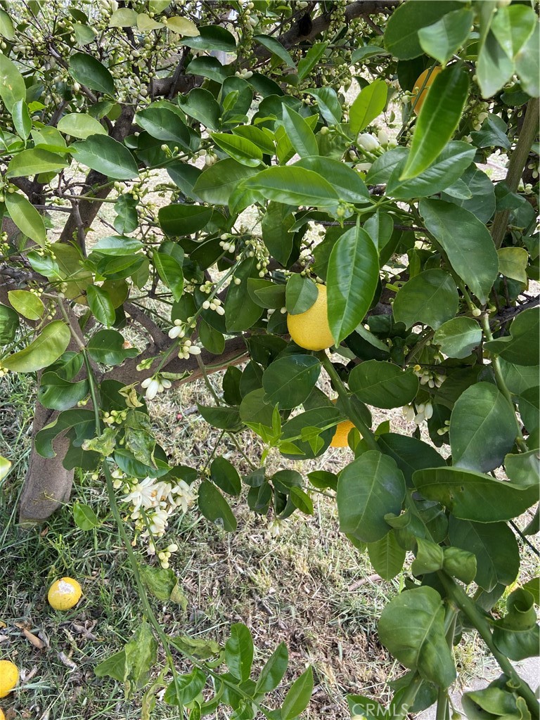 https://media.crmls.org/medias/65d0157b-22e2-47ab-ac9a-3f7a61d8cee1.jpg?preset=X-Large