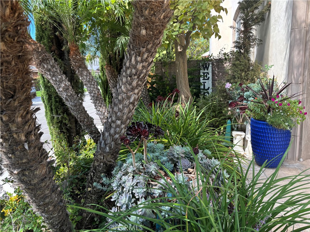 MLS #PW25220583 image #8