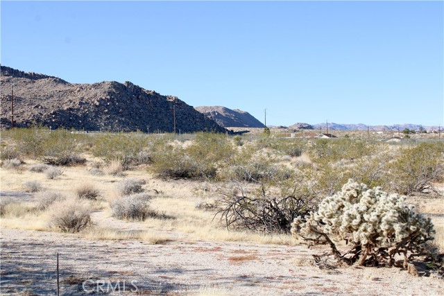 Detail Gallery Image 6 of 14 For 61308104 Dorth Pl, Twentynine Palms,  CA 92277 - – Beds | – Baths