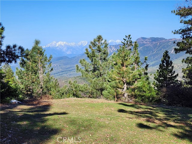 MLS# RW23065404